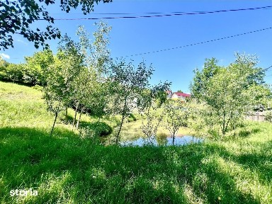 Casă cu iaz propriu si curte generoasa în Perieni