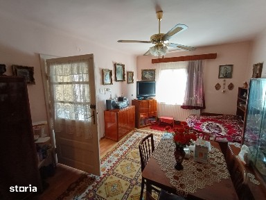Casa cu 2 camere / Liliacului