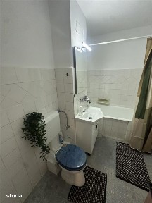 Strada Bucovinei, Bucovina, Timisoara, Timis