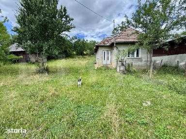 Casa 50 mp utili, 5000 mp teren, sat Draculea Bandului