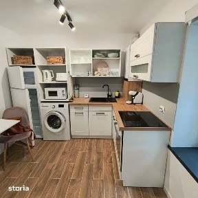 Apartament cu o camera in vila, langa Parcul Central, Grigorescu
