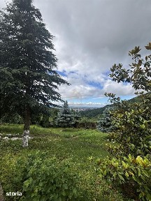 Valea Rosie, Baia Mare, Maramures