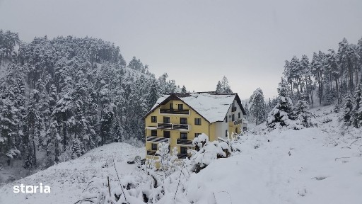 Strada Narciselor, Sacele, Brasov