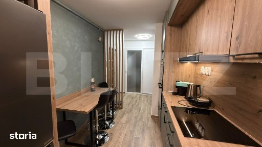 Subcentral, Satu Mare