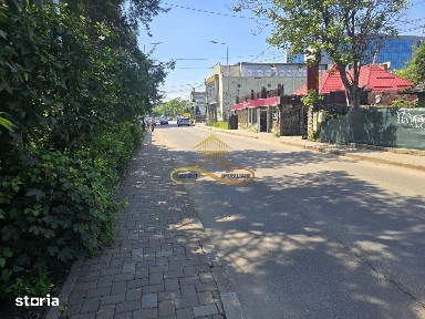 Cornisa, Bacau