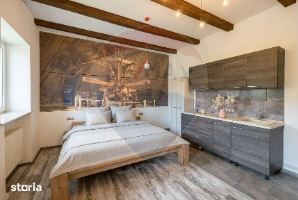 Apartament pregătit pentru regim hotelier