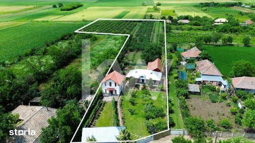 Murgeni, Vaslui