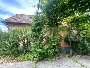 Casa individuala cu 3 camere de inchiriat, 75 mp, Comuna Viisoara