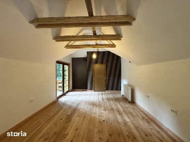 Chalet & A-Frame Rucar | Business Turistic Premium, 2107mp