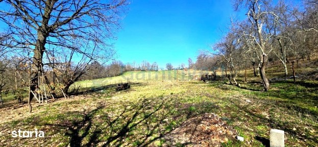 Casa la tara de vanzare in Cosdeni, Bihor, Gaminvest,V4492