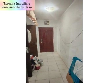 Apartament 2 camere de vanzare : Malu Rosu, parter