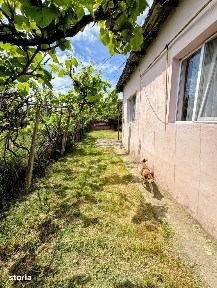Casă cu 3 camere la 13 km de oras