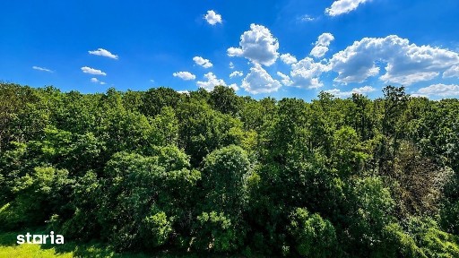 Greenfield Residence 2 Camere cu vedere panoramică spre pădure - Bloc