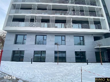 Areni, Suceava