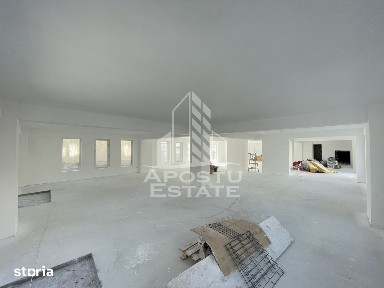 Spatiu comercial 238 mp, zona Lipovei, artera circulata