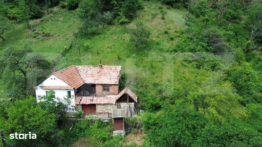 Casa traditionala, investitie potential de dezvoltare, 65 mp, Capalna