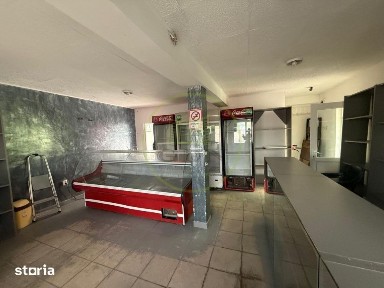 Casa plan parter, 462 mp, 100 mp utili, Brestei, zona Ambassador