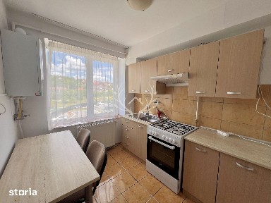 Apartament cu o camera + nisa de dormit, Oașului 86-90, Iris