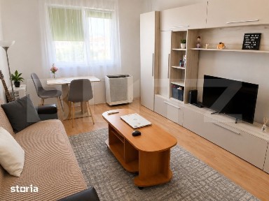 Garsoniera Investitie | Randament Excelent | Dambul Rotund | 21 mp