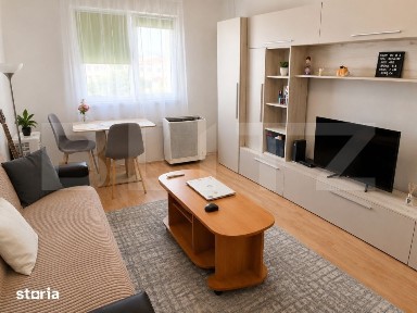 Garsoniera Investitie | Randament Excelent | Dambul Rotund | 21 mp
