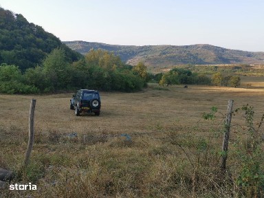 Bogata De Jos, Vad, Cluj