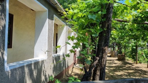 Bihor, Simian