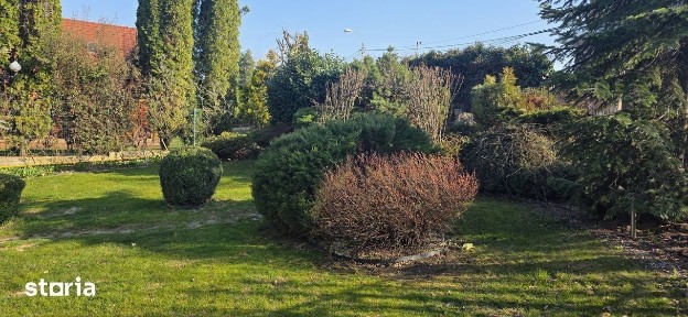 Vila D+P+E de vanzare in cartierul Europa