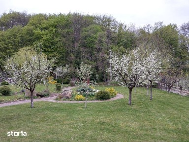 Vila 5 camere de vanzare in Faget