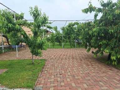 AFACERE LA CHEIE cu locuință + hale, teren 4.007 m²
