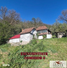 Casa in Muntii Apuseni - Ocolis
