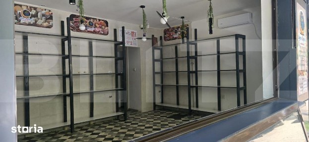 Primaverii, Botosani