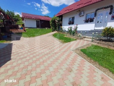 Casa de vanzare cu anexe, 35 ari teren, Adancata
