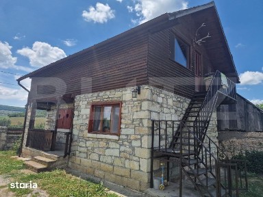 Casa cu 2 cladiri, foisor generos si teren de 3300 mp - Cornesti