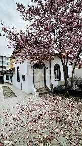 Vila Premium Single, 176 mp Utili | Renovata Complet, La Cheie|Parcul