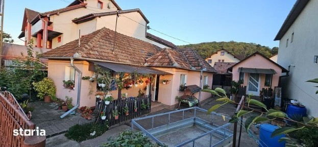 Casa familiala Dezmir