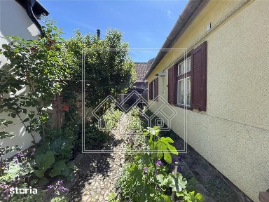 Casa individuala in Turnisor, 292 mp Teren, Predare imediata