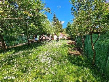 Casa cu 1 camera in Vlaha