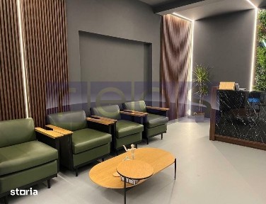 VANZARE VILA KISELEFF 365MP | CURTE 90MP | IDEAL INVESTITIE