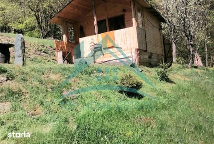 Cabana cocheta de vanzare cu teren generos 3000 mp, Baisoara!