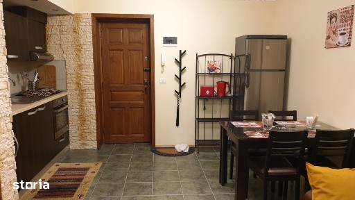 Studio - Apartament Central Furnica
