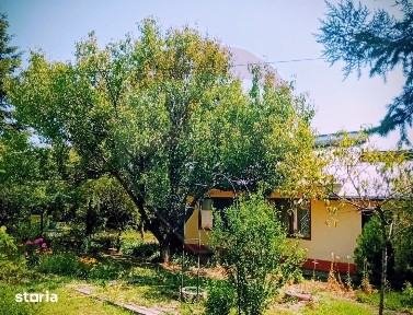 Casă P+M + cladire anexă + teren 1129 mp
