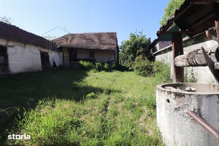 Tinca, Bihor