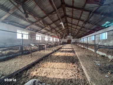 Ferma complet echipata de vanzare - zona Agnita, judetul Sibiu