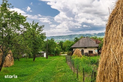 Casa moderna si casa bunicii + 6300 mp teren,Oaza autentica in Corbi A