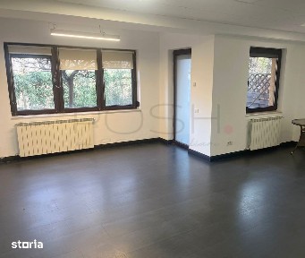 Vila renovata 2025, 240mp, parcare, Floreasca Parcul Verdi