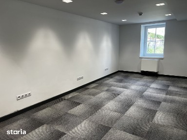 Birou ultramodern / Zona Centrala / Vila individuala