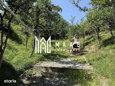 Casă I Teren 1550 mp I Sat Vale I Mărginimea Sibiului