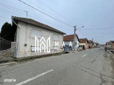 Casă I Teren de 4.500 mp I Anexe I Seica Mare