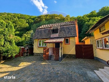 Cabană la munte, zona Someșul cRece
