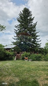 Domeniu rural, gospodarie/multifunctionala cu casa, livada, vie